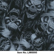 LMI0095