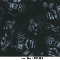 LMI0098