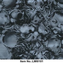 LMI0101