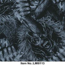 LMI0113