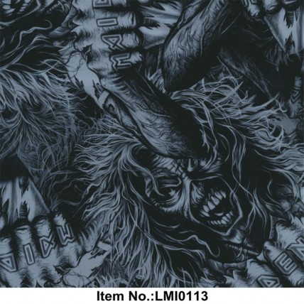 LMI0113
