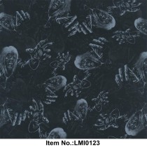 LMI0123