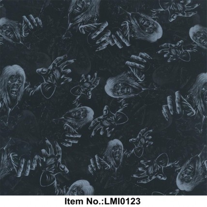 LMI0123
