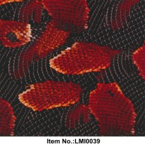 LMI0039