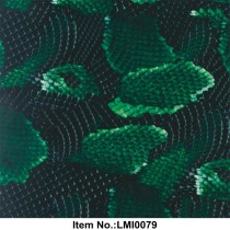 LMI 0079