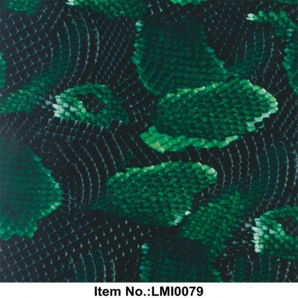 LMI 0079
