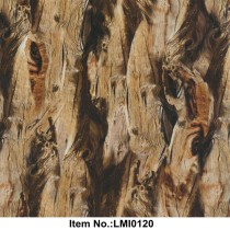 LMI0120