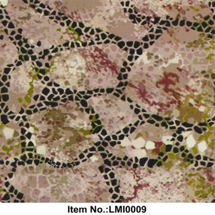 LMI0009