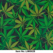 LMI0028