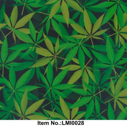 LMI0028