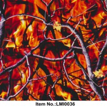 LMI0036