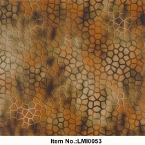 LMI0053