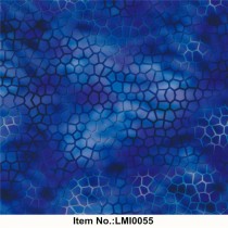 LMI0055