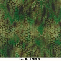 LMI0056