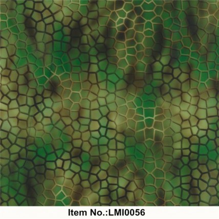 LMI0056