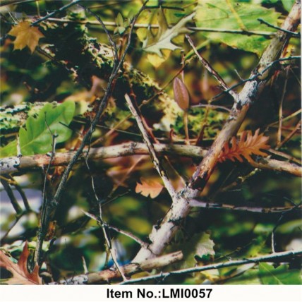 LMI0057