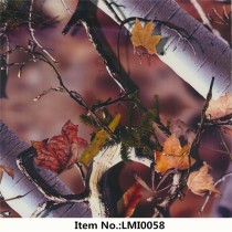 LMI0058