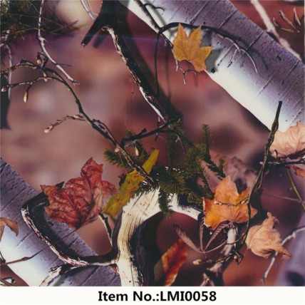 LMI0058
