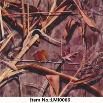 LMI0066