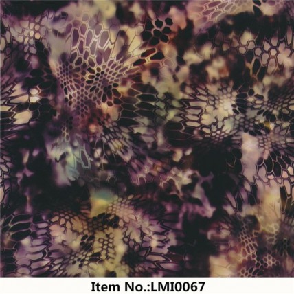LMI0067