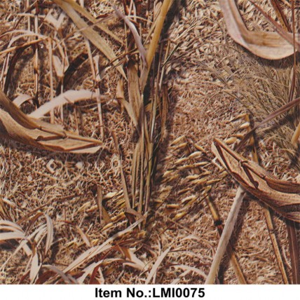 LMI0075
