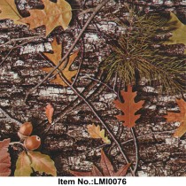 LMI0076