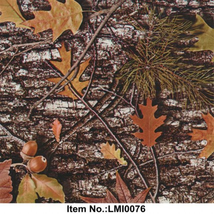 LMI0076