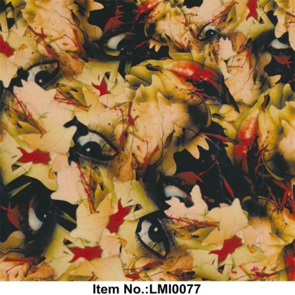 LMI0077