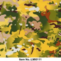LMI0111