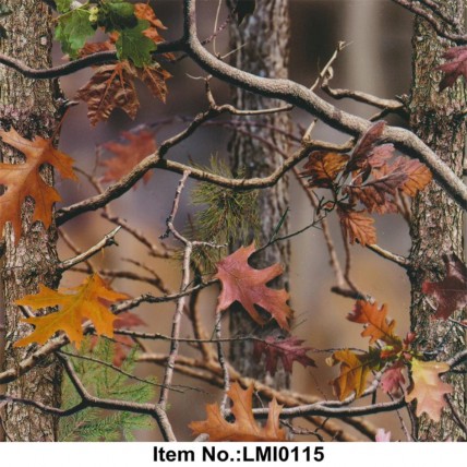 LMI0115