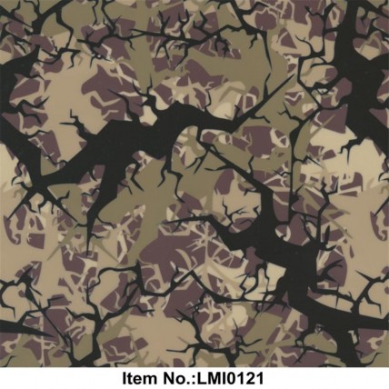 LMI0121