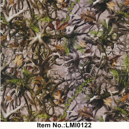 LMI0122