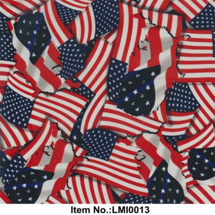 LMI0013