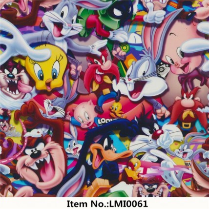 LMI0061