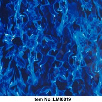 LMI0019
