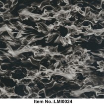LMI0024