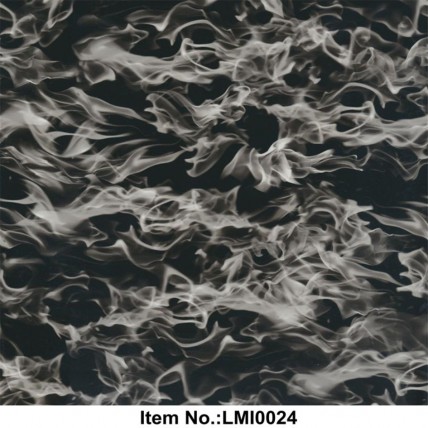 LMI0024