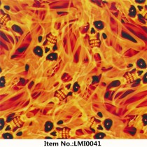 LMI0041