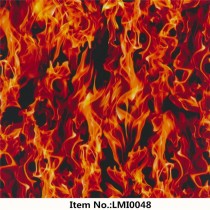 LMI0048