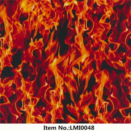 LMI0048