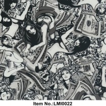 LMI0022