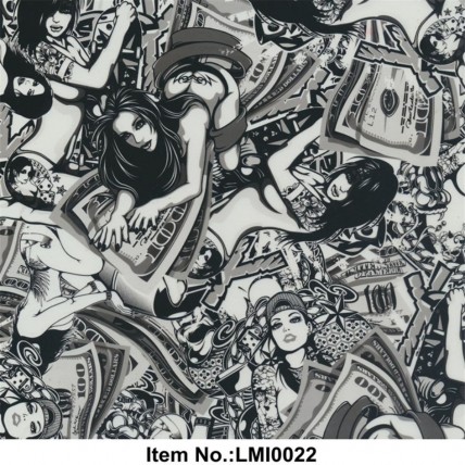 LMI0022