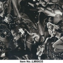 LMI0035