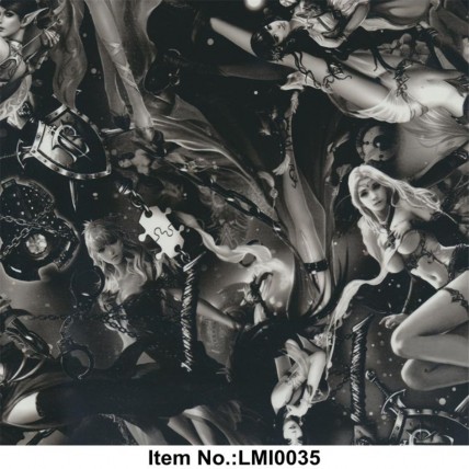 LMI0035