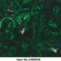 LMI0046