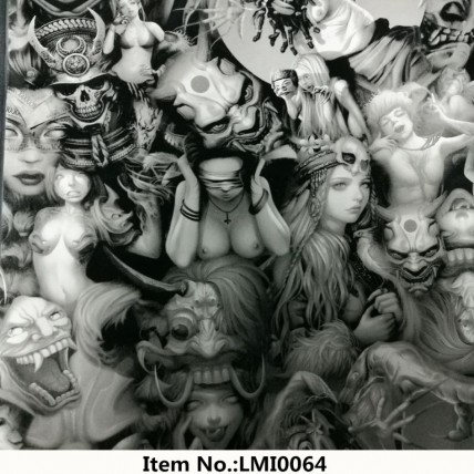 LMI0064