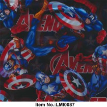 LMI0087