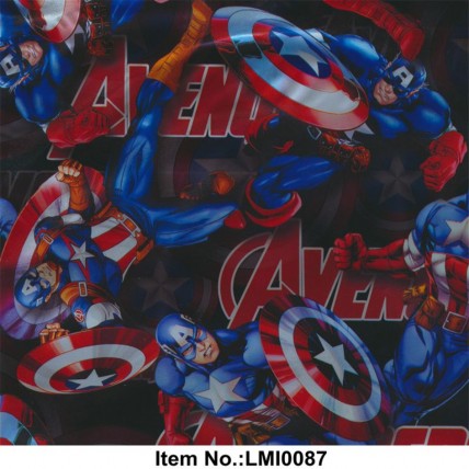 LMI0087
