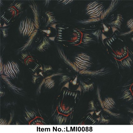 LMI0088