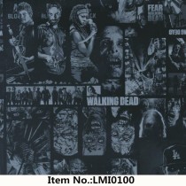 LMI0100